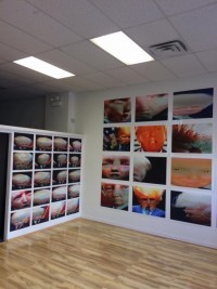 Doug Huston, installation view